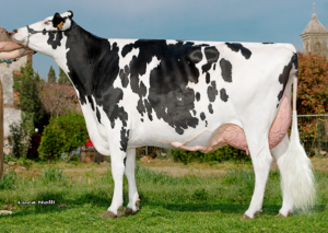 Secretariat dochter Miki EX 90