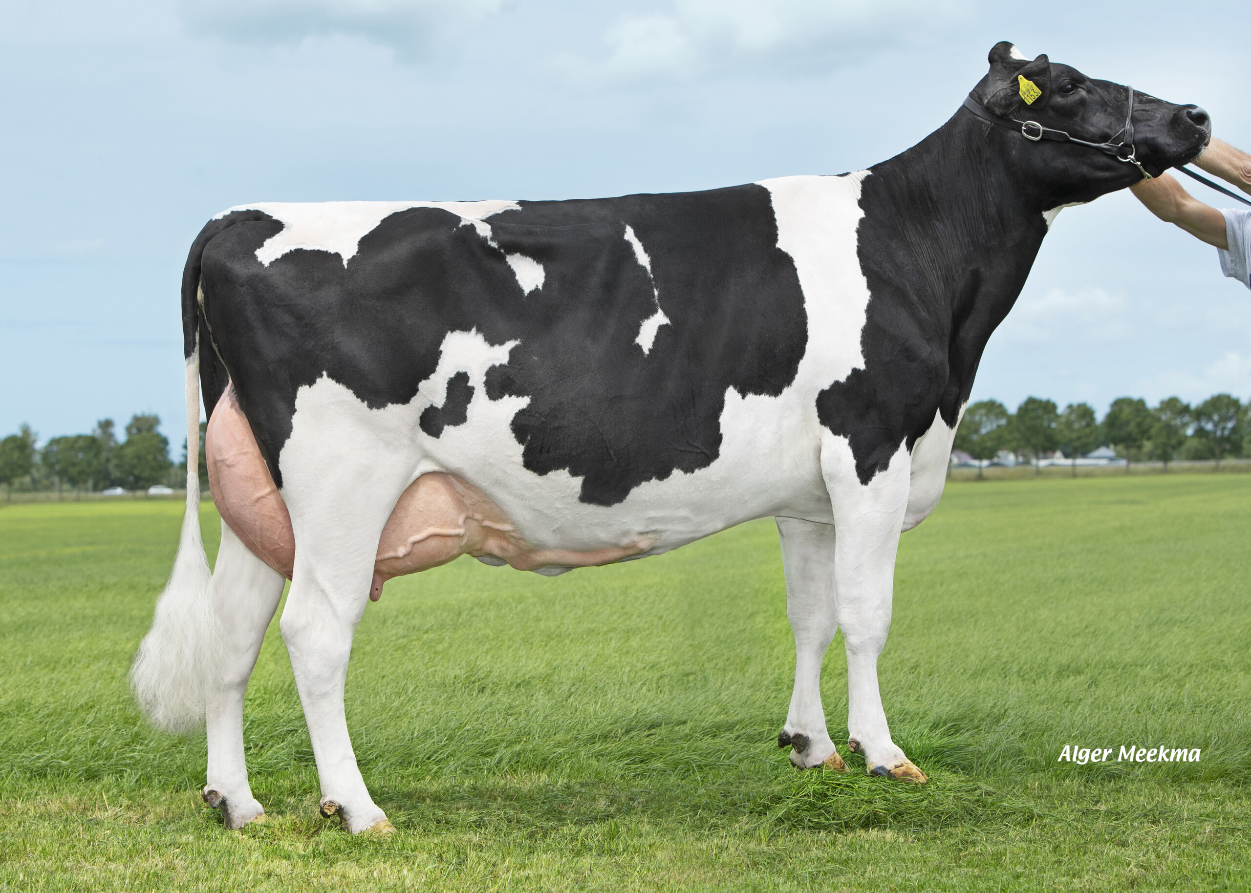 Aurora Frisia 380 Verkley Hazerswoude Dorp